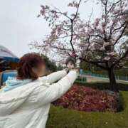 ヒメ日記 2025/03/29 11:03 投稿 南/Minami ジュリエット