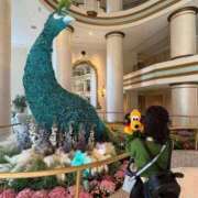 ヒメ日記 2025/04/01 16:27 投稿 南/Minami ジュリエット