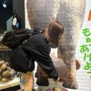 ヒメ日記 2025/04/04 14:42 投稿 南/Minami ジュリエット