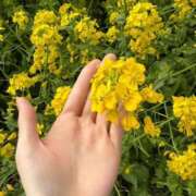 ヒメ日記 2025/04/04 19:03 投稿 南/Minami ジュリエット