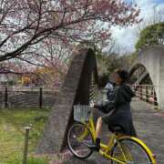 ヒメ日記 2025/04/05 11:27 投稿 南/Minami ジュリエット