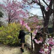 ヒメ日記 2025/04/05 14:03 投稿 南/Minami ジュリエット