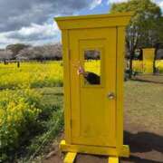 ヒメ日記 2025/04/05 16:27 投稿 南/Minami ジュリエット