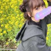 ヒメ日記 2025/04/06 13:27 投稿 南/Minami ジュリエット