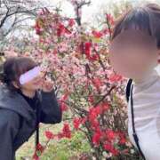 ヒメ日記 2025/04/08 14:48 投稿 南/Minami ジュリエット