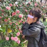 ヒメ日記 2025/04/09 09:18 投稿 南/Minami ジュリエット