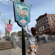 ヒメ日記 2025/04/11 14:42 投稿 南/Minami ジュリエット