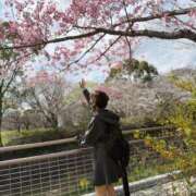 ヒメ日記 2025/04/13 07:48 投稿 南/Minami ジュリエット