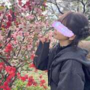 ヒメ日記 2025/04/14 09:33 投稿 南/Minami ジュリエット