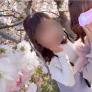 ヒメ日記 2025/04/20 08:33 投稿 南/Minami ジュリエット