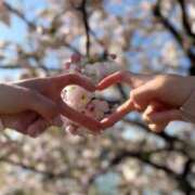 ヒメ日記 2025/04/21 08:18 投稿 南/Minami ジュリエット