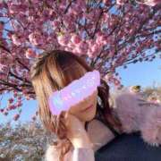 ヒメ日記 2025/04/22 13:33 投稿 南/Minami ジュリエット