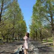 ヒメ日記 2025/04/23 07:18 投稿 南/Minami ジュリエット