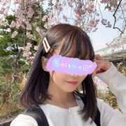 ヒメ日記 2025/04/23 08:33 投稿 南/Minami ジュリエット