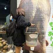 ヒメ日記 2025/04/26 15:48 投稿 南/Minami ジュリエット