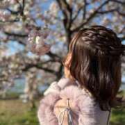 ヒメ日記 2025/04/28 12:12 投稿 南/Minami ジュリエット