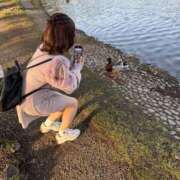 ヒメ日記 2025/04/29 07:03 投稿 南/Minami ジュリエット