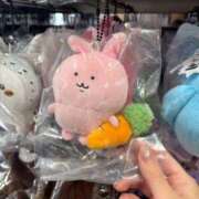 ヒメ日記 2025/05/01 13:33 投稿 南/Minami ジュリエット