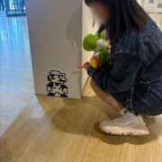 ヒメ日記 2025/05/03 07:57 投稿 南/Minami ジュリエット