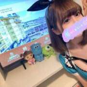 ヒメ日記 2025/05/13 08:36 投稿 南/Minami ジュリエット