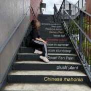 ヒメ日記 2025/05/20 14:33 投稿 南/Minami ジュリエット