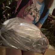 ヒメ日記 2025/05/31 18:12 投稿 南/Minami ジュリエット