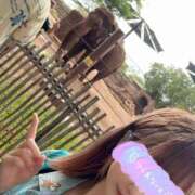 ヒメ日記 2025/06/02 09:18 投稿 南/Minami ジュリエット