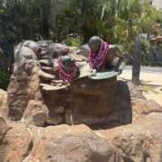 ヒメ日記 2025/06/07 06:48 投稿 南/Minami ジュリエット