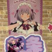 ヒメ日記 2025/06/29 09:51 投稿 南/Minami ジュリエット