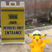 ヒメ日記 2025/07/22 09:45 投稿 南/Minami ジュリエット