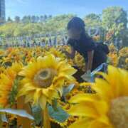 ヒメ日記 2025/09/03 21:15 投稿 南/Minami ジュリエット