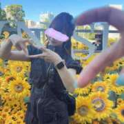 ヒメ日記 2025/09/11 08:51 投稿 南/Minami ジュリエット