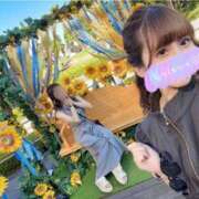 ヒメ日記 2025/09/12 08:48 投稿 南/Minami ジュリエット