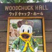 ヒメ日記 2025/10/26 09:18 投稿 南/Minami ジュリエット