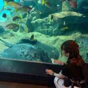 ヒメ日記 2025/10/30 21:03 投稿 南/Minami ジュリエット