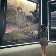 ヒメ日記 2025/11/12 07:48 投稿 南/Minami ジュリエット