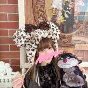 ヒメ日記 2025/11/15 06:03 投稿 南/Minami ジュリエット