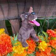 ヒメ日記 2025/11/16 10:33 投稿 南/Minami ジュリエット