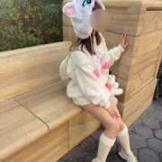 ヒメ日記 2025/11/17 18:00 投稿 南/Minami ジュリエット