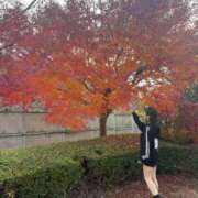 ヒメ日記 2025/12/03 13:45 投稿 南/Minami ジュリエット