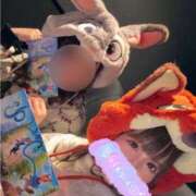 ヒメ日記 2025/12/10 06:48 投稿 南/Minami ジュリエット