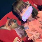 ヒメ日記 2025/12/16 14:27 投稿 南/Minami ジュリエット