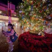 ヒメ日記 2025/12/17 23:18 投稿 南/Minami ジュリエット