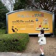 ヒメ日記 2025/12/18 19:12 投稿 南/Minami ジュリエット