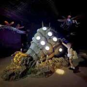 ヒメ日記 2025/12/22 13:12 投稿 南/Minami ジュリエット