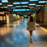 ヒメ日記 2025/12/23 14:27 投稿 南/Minami ジュリエット