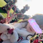 ヒメ日記 2025/12/25 08:36 投稿 南/Minami ジュリエット