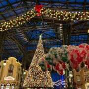 ヒメ日記 2025/12/25 09:03 投稿 南/Minami ジュリエット