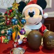 ヒメ日記 2025/12/25 10:33 投稿 南/Minami ジュリエット