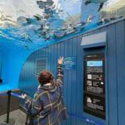 ヒメ日記 2026/01/17 12:21 投稿 南/Minami ジュリエット